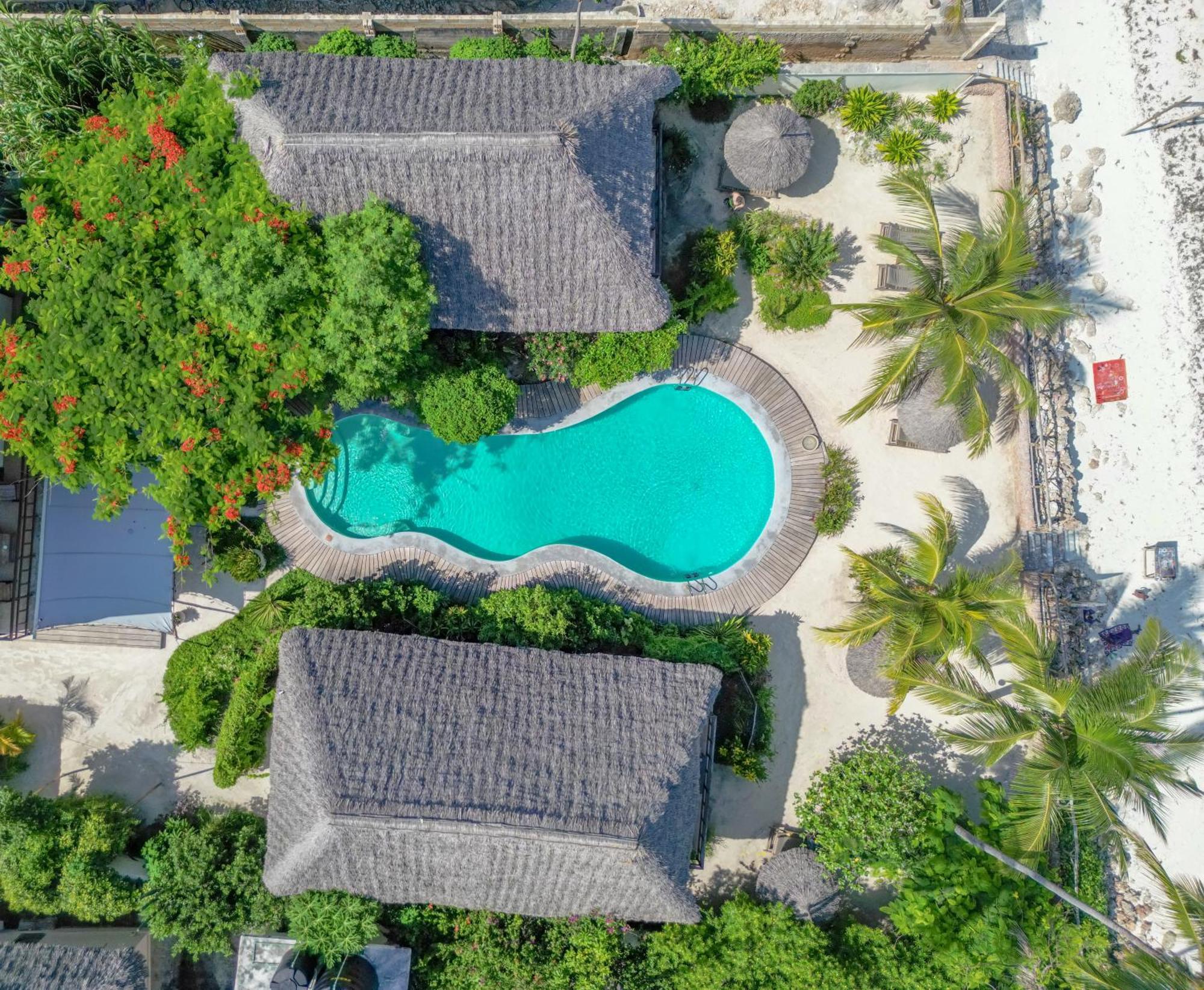 Jambiani Villas ภายนอก รูปภาพ